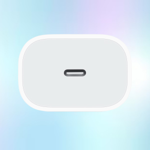 OEM Chargers